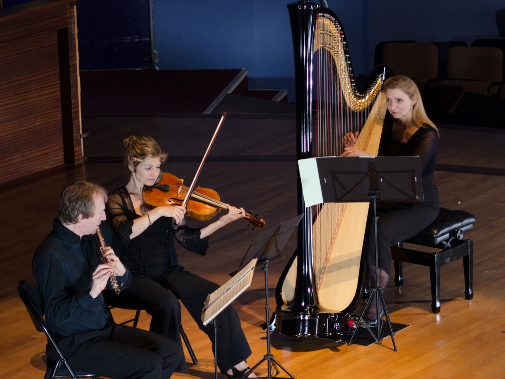 DSC 8374 (3388 visits) Trio Nymphéa |
flûte, alto & harpe |
Jean François Simoine, flûte |
Emmanuelle Touly, alto |...