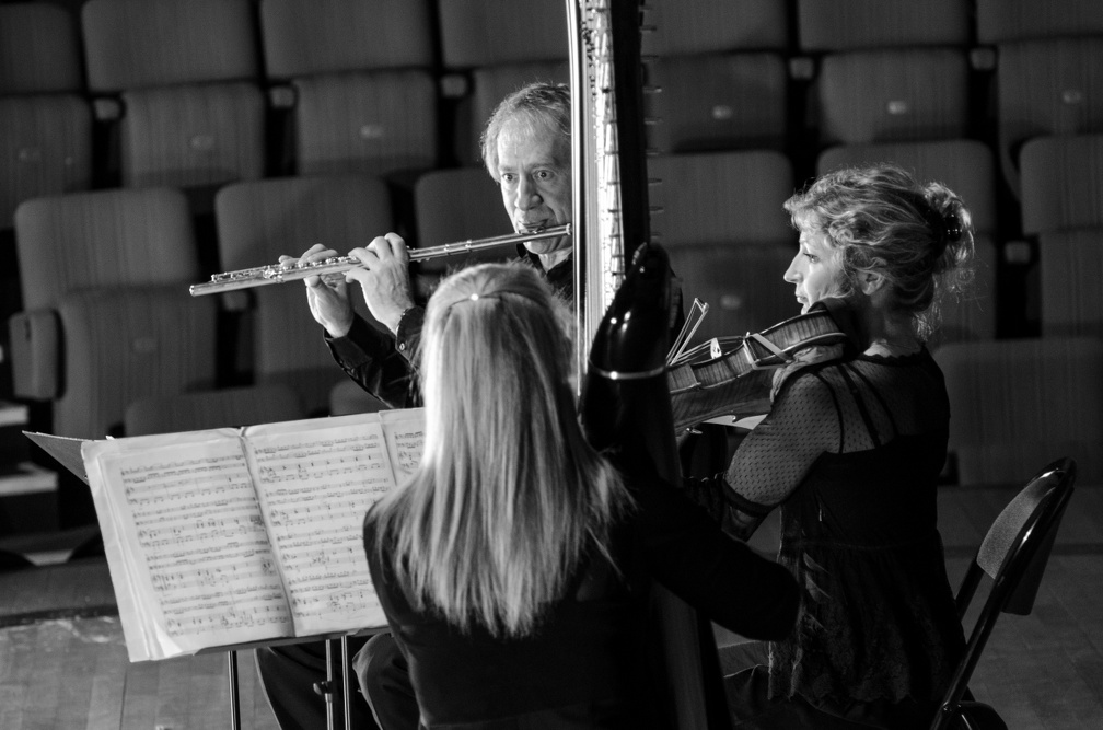 DSC 8385 (3357 visits) Trio Nymphéa |
flûte, alto & harpe |
Jean François Simoine, flûte |
Emmanuelle Touly, alto |...