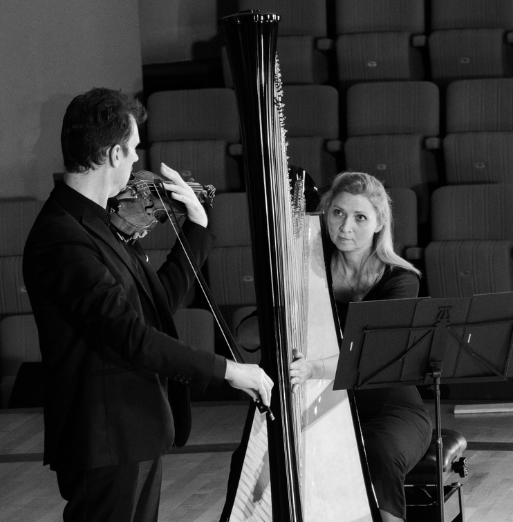 DSC 8460 (3022 visits) Duo Perpetuo | 
harpe & violon | 
Béatrice Guillermin, harpe |  
Frédéric Moreau, violon