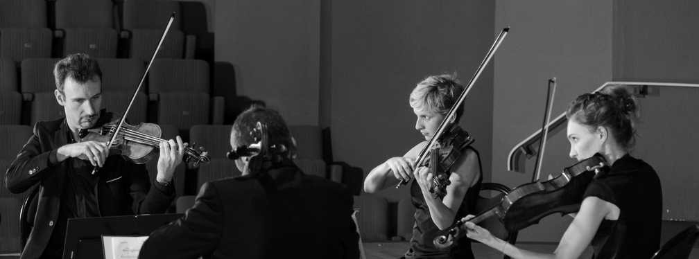DSC 8610 (3120 visits) Quatuor Goldoni |
Frédéric Moreau, violon |
Marion Delorme, violon |
Vanessa Menneret, alto |
...