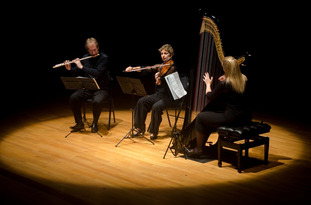DSC 8282 (6559 visits) Trio Nymphéa |
flûte, alto & harpe |
Jean François Simoine, flûte |
Emmanuelle Touly, alto |...